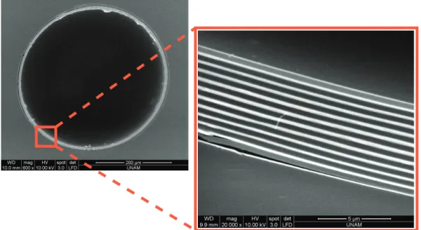 Figure 2.10: Scanning electron microscope (SEM) image of a 1-D PCF for HO:YAG laser guiding are presented.