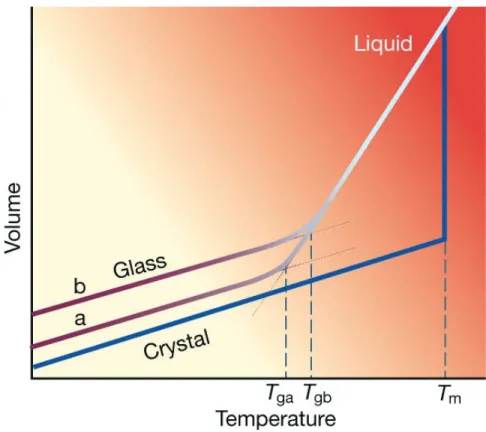 Figure 3.2: The temperature dependence of a liquid’s volume is presented. T m indicates the equilibrium melting temperature, T ga and T gb represents the glass transition temperature of two glassy materials