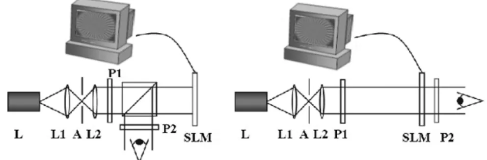 Fig. 15.5. Assembled experimental setups. L denotes the laser; L1 and L2 are the collimating lenses; A shows the pinhole; P1 is the polarizer, and P2 is the analyzer