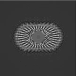 Fig. 15.7. R-S in-line hologram of the Star Target object shown in Fig. 15.6