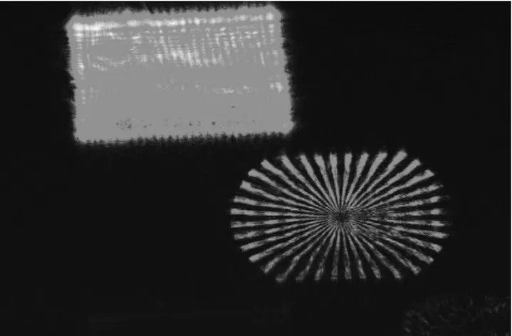 Fig. 15.14. Optically reconstructed image from the Fresnel oﬀ-axis hologram is shown in Fig