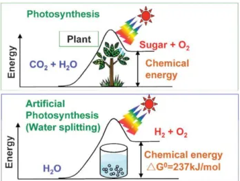 Figure 3. Photosynthesis by green plants and photocatalytic water splitting (artificial  photosynthesis)