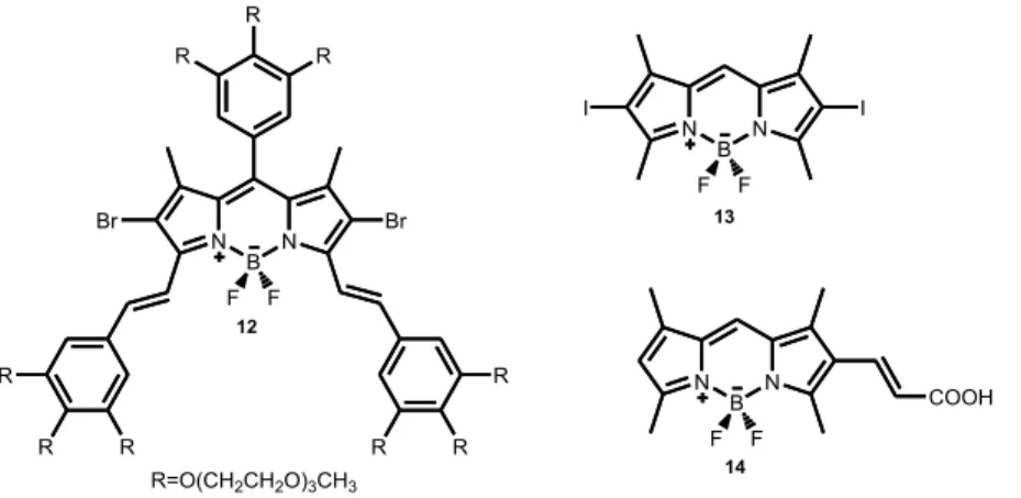 Figure 18. Some examples of BODIPY based photosensitizers used in photodynamic  therapy