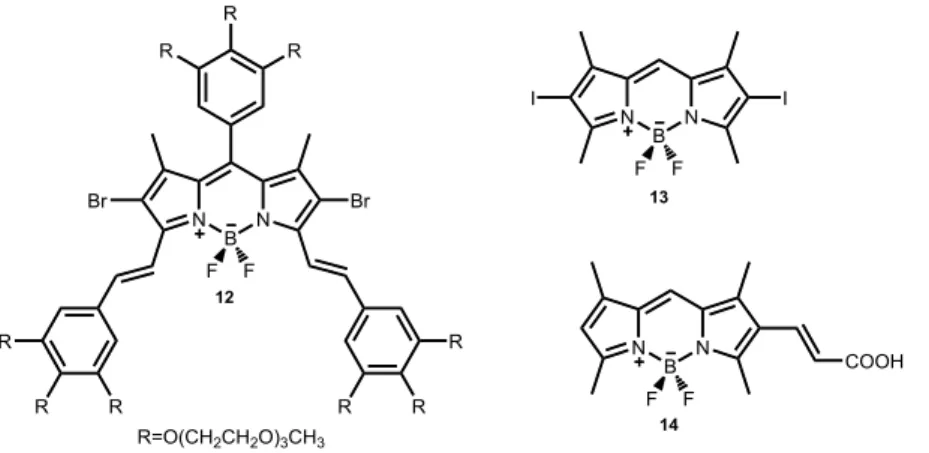 Figure 18. Some examples of BODIPY based photosensitizers used in photodynamic  therapy
