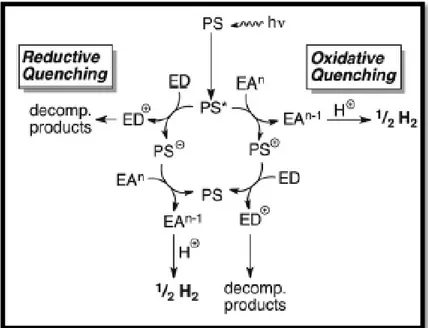 Figure 49. Water splitting mechanisms. Copyright © 2012, Royal Society of Chemistry. 
