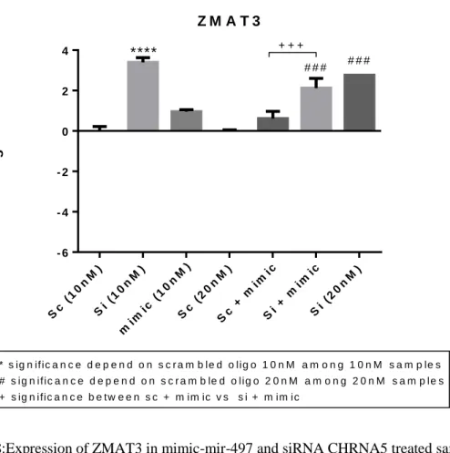 Figure 4.18:Expression of ZMAT3 in mimic-mir-497 and siRNA CHRNA5 treated samples. 