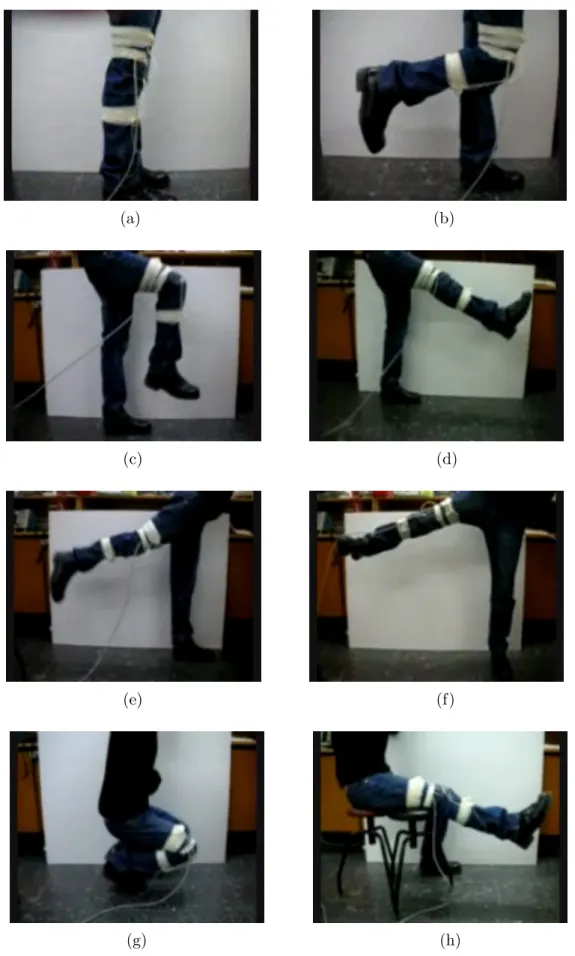 Figure 2.1: Eight different leg motions.