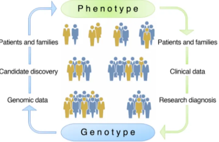 Figure 1. Reverse phenotyping. Schematic of the phenotype-first (green)  versus the genotype-first (also referred to as reverse phenotyping, blue)  approaches for identification of causal gene mutations