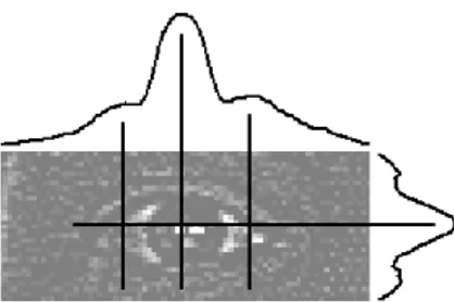 Figure 3: An example vertical-crop edge region with its smoothed horizontal projection and profile