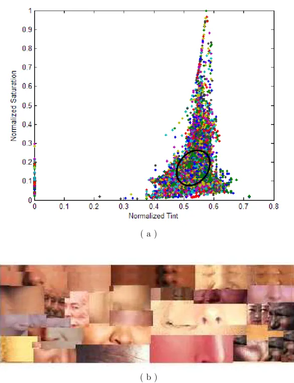 Figure 2.2: (a) Single elliptical 2-D Gaussian classifier for (b) the training skin color samples’ normalized T and S values.
