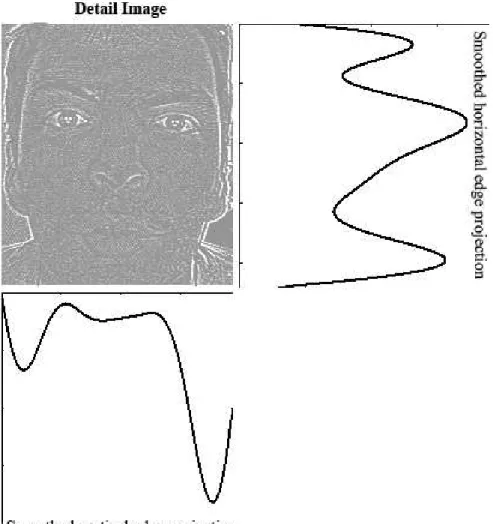 Figure 2.4: Smoothed horizontal and vertical edge projections of detail image of a typical human face.