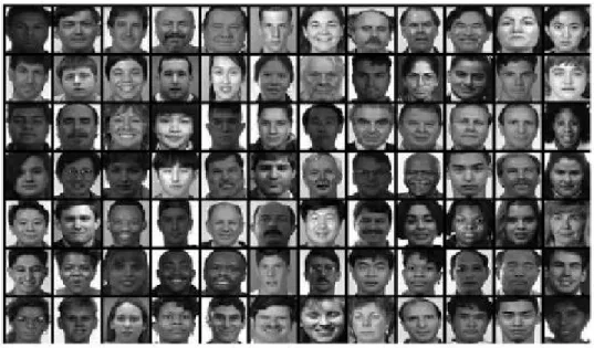 Figure 7: Examples of FERET frontal upright face images 15 . Wavelet domain sub-images are used for training and testing