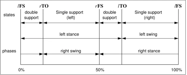 Figure 4.6: Locomotion cycle for bipedal walking (adopted from [32]).