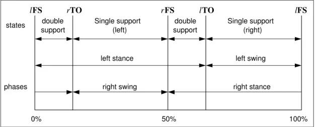 Figure 4.6: Locomotion cycle for bipedal walking (adopted from [32]).