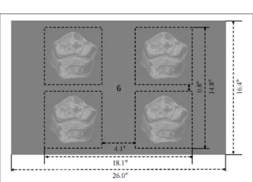 FIGURE 2 | Display and stimulus layout. Four rotating objects were presented in the visual field quadrants, surrounding a central fixation marker.
