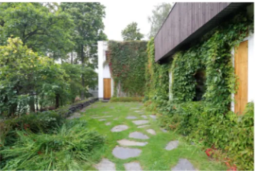 圖 15  阿爾托自宅與工作室外景，建築量體由南向內庭中的藤蔓植物所覆蓋。來源 :  作者自攝。 第三，阿爾托可能認識到日本茶室的構造細節是傳統手工藝表現有機的自然形式，同時進一步 象徵了人造物與自然形體的結合 ( 圖 14) 。這可能引起阿爾托的共鳴，並促使他在自宅與工作室的 南側庭院種植了藤蔓植物 ( 圖 15) 。藤蔓植物順著牆面和立柱爬上建築屋頂，成為保護和豐富建築 物的一層外衣 64  : 在夏季，他們提供遮陽；在冬季，他們乾枯並允許陽光照射進室內。相反的，在 Villa Tammekann 中 