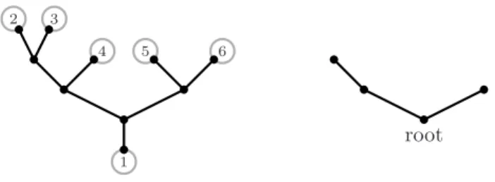 Figure 4. An admissible tree Ξ (black) and associated 3-skeleton Sk Ξ