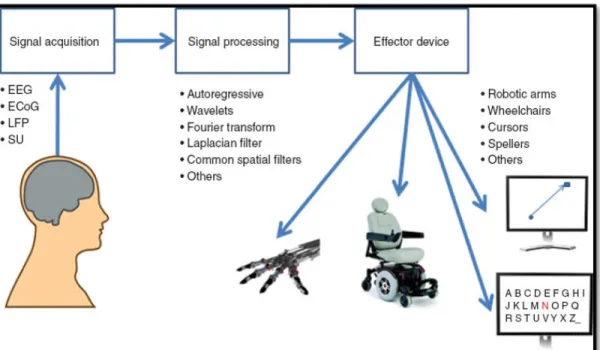 Figure 1.1: Simple flow diagram of any BCI design
