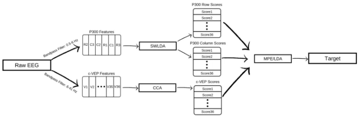 Figure 2.6: Schematic of the Hybrid Speller BCI incorporating P300 and c-VEP