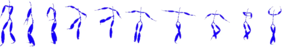 Figure 3.2 shows a sample skeletal hierarchy