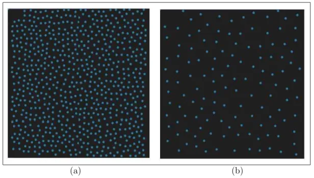 Figure 3.5: Sample hair root placements for different Poisson distance con- con-straints: (a) d = 0.02; and (b) d = 0.07.
