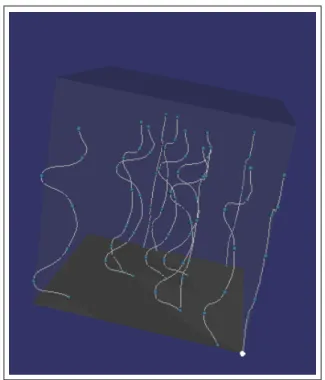 Figure 3.6: Self similar clusters of seed hairs