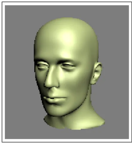 Figure 4.1: A triangular mesh head model
