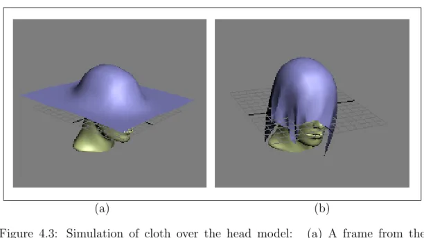 Figure 4.3: Simulation of cloth over the head model: (a) A frame from the simulation study; (b) steady state.