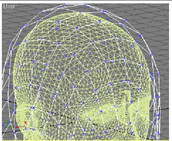 Figure 4.4: A closer look of the steady state at the top of the target surface Step 3 : The basic appearance and length to hair volumes are given at this point