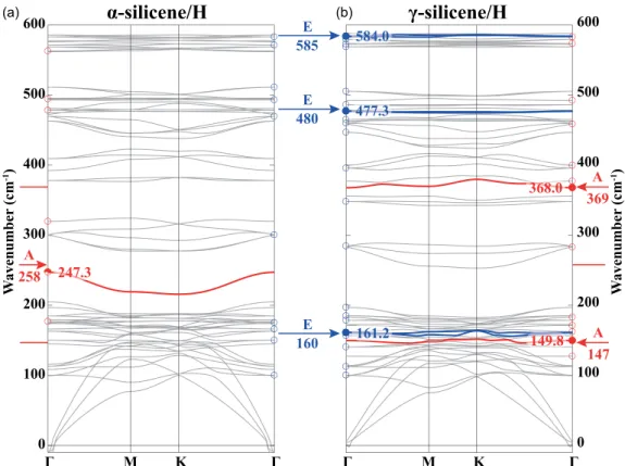 FIG. 4. Phonon dispersions of hydrogenated α- (a) and γ -silicene (b) on Ag(111) substrate