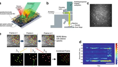 Fig. 14.1 Description of the HYPERSTORRM Microscope. (a) A biological sample (such as a cell membrane, self-assembled supramolecular structures, extra or intracellular matrix  compo-nents) is placed on a high performance and high uniformity plasmonic subst