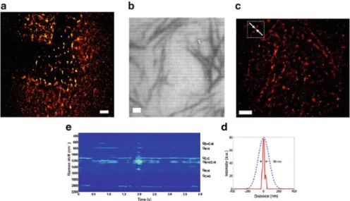 Fig. 14.4 Stochastic reconstruction SERS imaging of self-assembled peptide nanostructures: (a) Reconstruction of a peptide layer imprinted onto the plasmonic substrate using an elastomeric mold