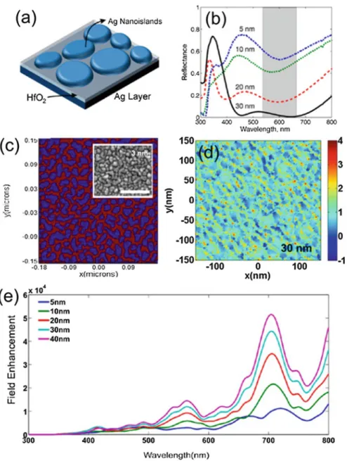 Fig. 14.5 Improved SERS substrates with single molecule sensitivity and high hot-spot density: