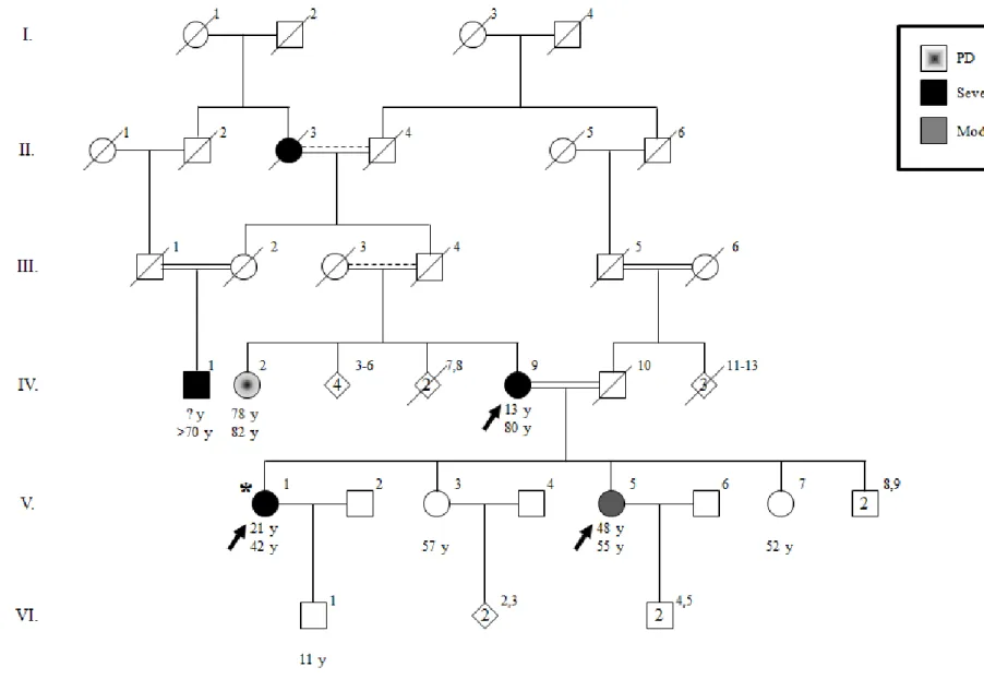 Figure  1  Pedigree  of  ET-17.  Age  at  onset  of  tremor  for  affected  individuals  and  current  ages  are  indicated  in  this  order  under  the  symbols