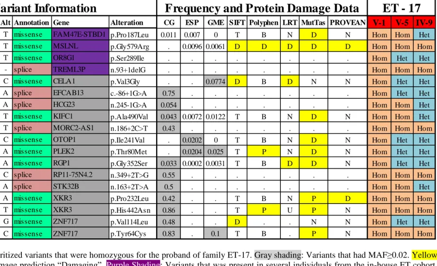 Table 3 List of prioritized variants that were homozygous for the proband of family ET-17