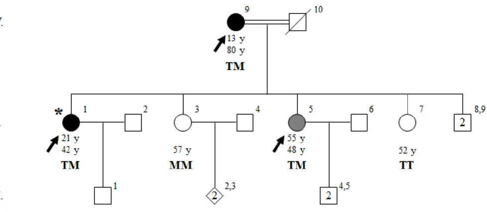 Figure  6  Pedigree  of  family  ET-17  with  genotypes  at  TLL2  p.T495M.  Age  at  onset  of  tremor  for  affected  individuals,  current  ages,  and  genotypes  at  TLL2  p.T495M  are indicated in  this  order under the symbols