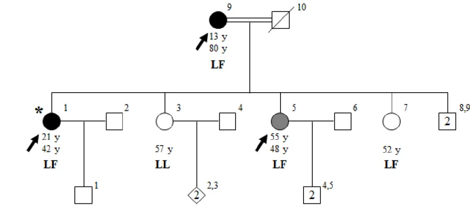 Figure  8  Pedigree  of  family  ET-17  with  genotypes  at  SRFBP1  p.L31F.  Age  at  onset  of  tremor  for  affected  individuals,  current  ages,  and  genotypes  at  SRFBP1  p.L31F  are  indicated  in  this  order  under  the  symbols
