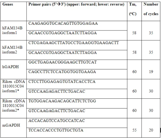 Table 3.2: RT-PCR primer list. m: mouse  h:human   * mouse homolog of human FAM134B  