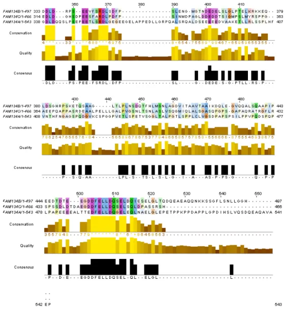 Figure 4.7: The ClustalW 2.0.8 multiple sequence alignment of FAM13B paralogs. 