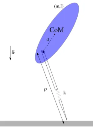 Figure 1.1: The Body-Attached Spring-Loaded Inverted Pendulum (BA-SLIP) model.