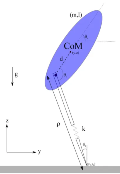 Figure 3.1: The Body-Attached Spring-Loaded Inverted Pendulum (BA-SLIP) model with cartesian and polar coordinates.