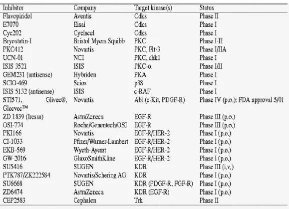 Table  1.2:  Some  of  the  clinically  used  or  candidate  protein  kinase  inhibitors 