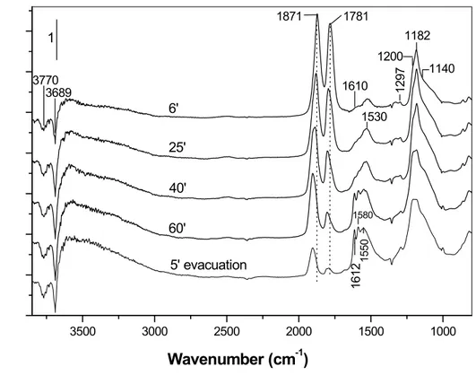 Figure 8: FTIR spectra of adsorbed NO (1.07 kPa) on the CoZ catalyst at room temperature for various times