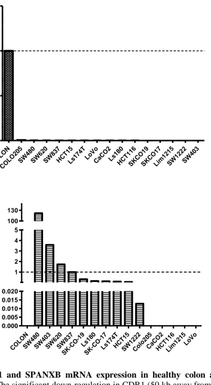 Figure  1.3:  CDR1  and  SPANXB  mRNA  expression  in  healthy  colon  and  colon  cancer cell lines