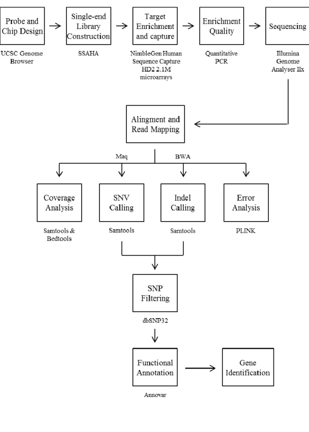 Figure 2.2: Schematic representation of the next generation sequencing and analysis  algorithm