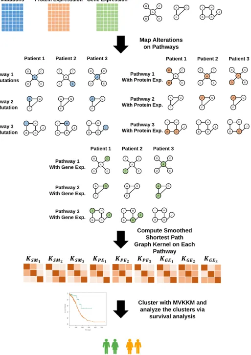 Figure 3.1: The proposed framework to stratify cancer patients into clinically meaningful subgroups