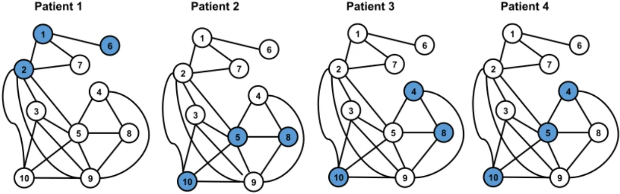 Figure 3.5: Mutational profiles of patients shown on an example undirected graph derived from the same pathway