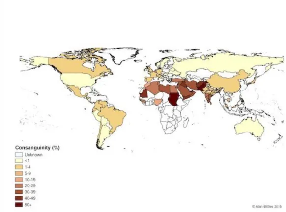Figure  1.5  Global  prevalence  of  consanguinity.  (http://www.consang.net  with  permission from A.H