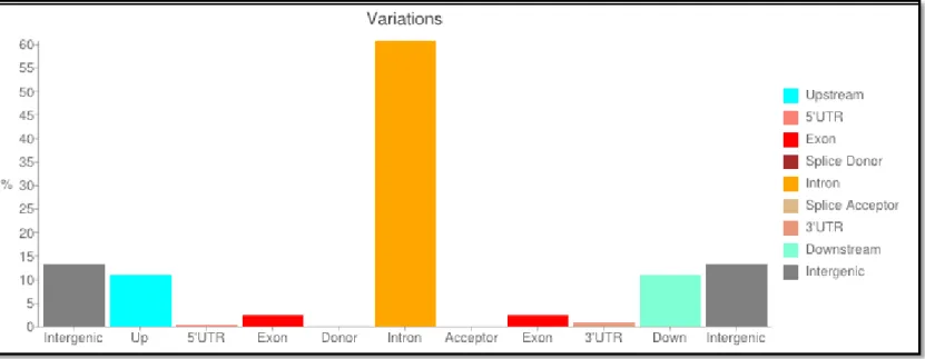 Figure 3.5 Percentage of variants with respect to genomic context for ET-5 and ET-49 families after SnpEff  analysis against human database GRCh37.75 (hg19)