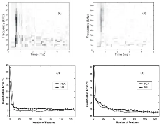 Figure 5. The t-f features selected for (a) UD vs. scab and (b) UD vs. pupal classification
